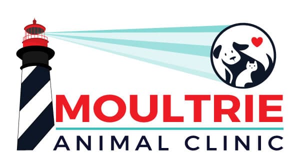 Moultrie Animal Clinic logo with lighthouse and clinic name.